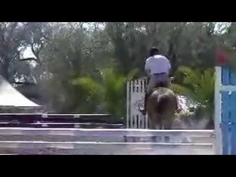 horses grand national