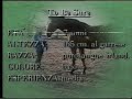 IL MIO CAVALLO