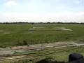 13640 Sq. Mtrs Ricefield Pulilan Bulacan