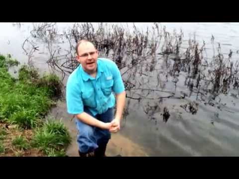 how to drain wetlands