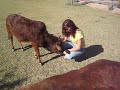 Scratchin Mels Ears Scratchin Mels Ears