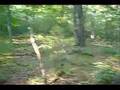 SKS 59/66 Gunner
