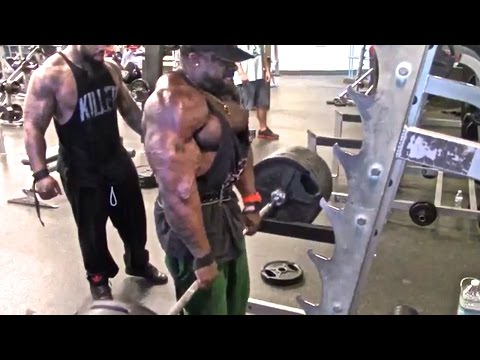 muscle