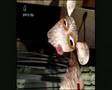 Fonejacker - Mouse Fonejacker - Mouse
