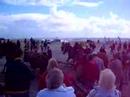 Reddingspaarden op Ameland