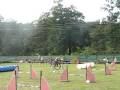 Staňa a Bela - Neoficiální závody agility Blansko 28.9.