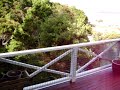 Paihia