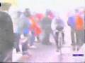 gavia 88