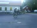 Nyb�rjar Stegring