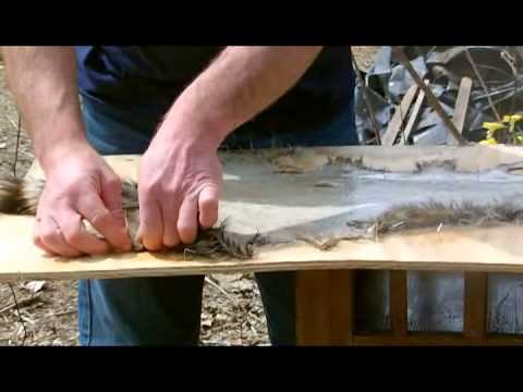 how to cure squirrel fur