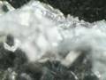 Salt Crystal Formation #1