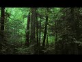 There are few sounds in nature as raucous as the calls of Barred Owls. Listen as The Cornell Lab's Laura Erickson sets the scene. Audio recordings and photographs by Gerrit Vyn. To explore more audio recordings visit the Macaulay Library: macaulaylibrary.org