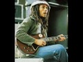 bob marley   100% reggae