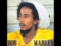 bob marley   100% reggae