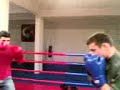 rocky ivan