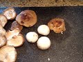 video thumbnail 2