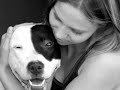 harmony is an independent, non-profit organization. our aim is to build the first chain of permanent dog (and cat) shelters throughout bulgaria and let not a single stray dog remain homeless, hungry, mistreated and used for horrifying purposes. we call all the dog lovers and animal protection organizations, together with us to create a strong unity against corruption, political interests and money loundering.


mission & vision

we strive to contribute to harmony life in bulgaria, where stray dogs will no longer constitute a problem to people and vice versa. by providing the most necessary and simple living conditions for the stray dogs, we strive to create such a pleasant environment, so that not only the dogs will lead the life they deserve, but also humans will deserve to call themselves 'humans'!