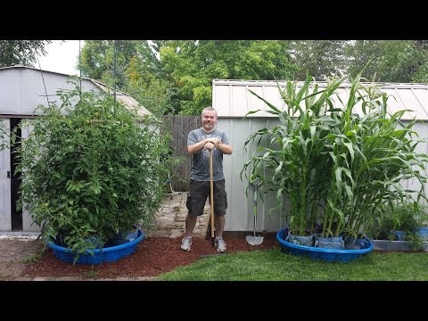 how to grow pool