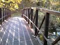 video of Glen Forest