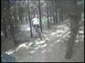 Thetford Forest Red Route
