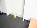 79 Increadible Putting Shots