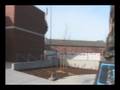 videos de Cougar Pride Statue