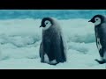 the march of the penguins   glósóli
