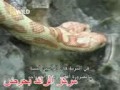 موقف,مخيف,