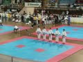 ITF World Championships - Slovenia 2007 - YulGok Pattern