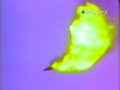 Destroyed in Seconds - Jet Plane Collision