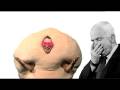 McCAIN BE OLD - Jelly Donut