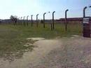This is Auschwitz-Birkenau