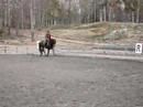 Friday Training Session