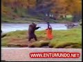 oso peleador