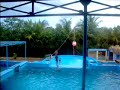 Samantha entrenadora delfines Samantha entrenadora delfines