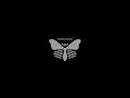 the official video for the hit-single doppelg�nger i love you, directed by lm kr�mer and pm rossing for transmission.