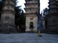 Shaolin Kung Fu - My Student Zhou Miao Practising (Qi Xing Jian)