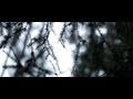 Cinematic Look: Canon 600D (Rebel T3i)