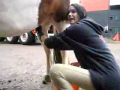 Tor Cleans Smartie's Penis