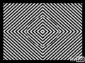 Amazing Optical Illusion
