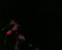 Trizzacks @ The Soul Tree 22nd June, Tinie Tempah (5)