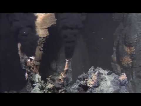 how to vent a smoker