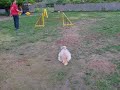 Contact training with Noun :)