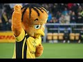 fugla p� topp!