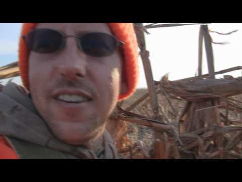 how to properly tag a deer in illinois