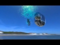 Baloo Vodice / Teaser SUMMER 2012