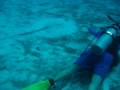 C-56 Wreck Dive with different music