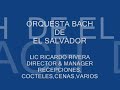 ORQUESTA BACH   SOMETHING STUP
