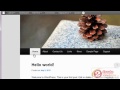 How to Use the WordPress Menu Feature