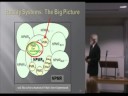 Physics, Metaphysics  the Consciousness Connection 9 of 18
